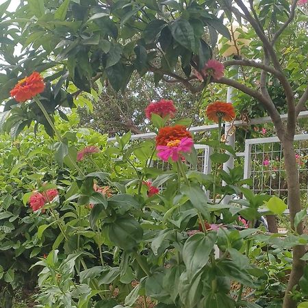 Garden Rooms Himare Buitenkant foto